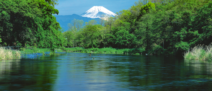 柿田川と富士山